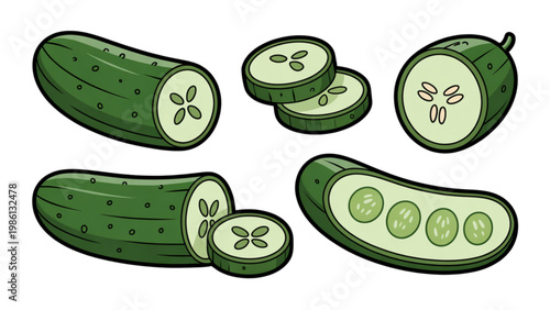 Freshly sliced cucumbers displayed in a visually appealing arrangement Vector