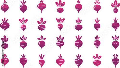 Beetroot silhouettes and radish icons collection set purple root vegetables vector graphic elements