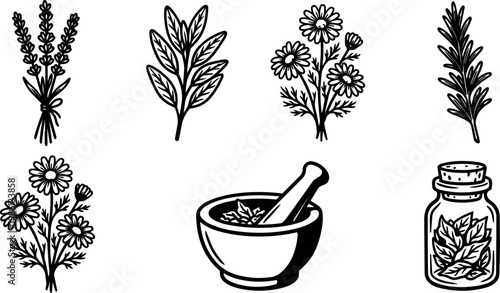 Black and white hand drawn herbal leaves chamomile mortar and jar vector art