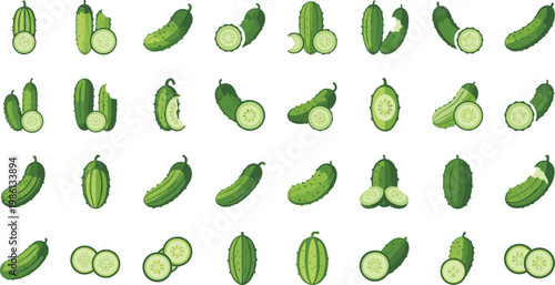 Fresh cucumber fruit and slice collection set. natural vegetable flat style design for food product label