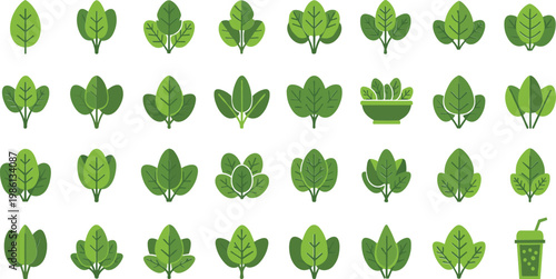 Simple green spinach leaves illustration, healthy eating and organic food concept