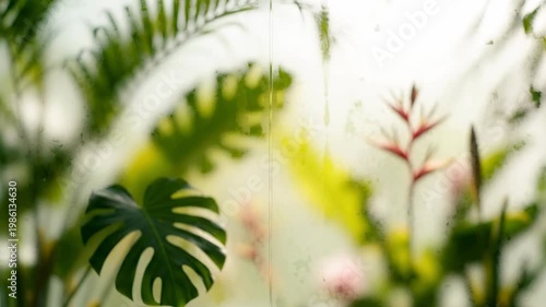 Tranquil tropical plants behind water droplets on glass surface in soft light