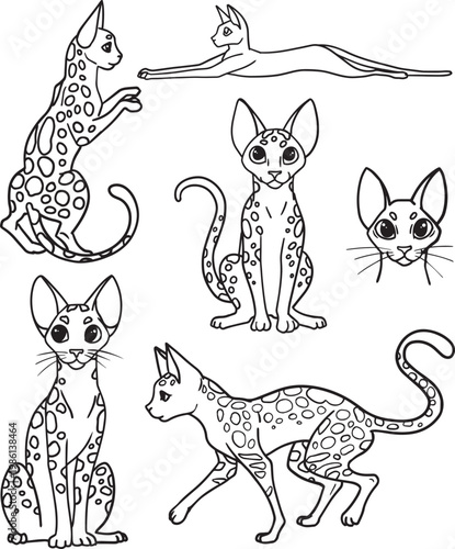 Fotografie Egyptian Mau Set Minimalist Oriental Cat Line Clipart Simple Cartoon Kitten Outl
