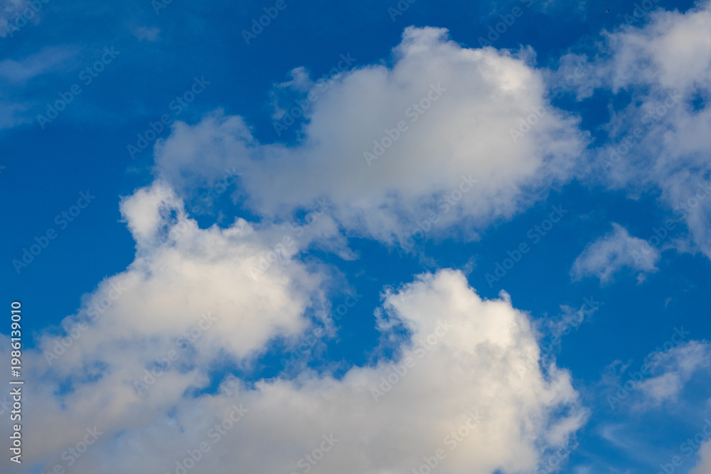 Obraz premium Fluffy Clouds in a Blue Sky