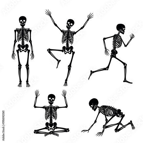 Human Skeleton Silhouette Set in Various Poses Vector Illustration
