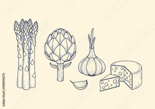 Vintage Hand-Drawn Line Art Illustration of Asparagus, Artichoke, Garlic, and Swiss Cheese - Botanical Style Food Graphics