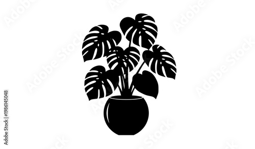 Monstera deliciosa plant silhouette in pot vector tropical houseplant icon botanical design