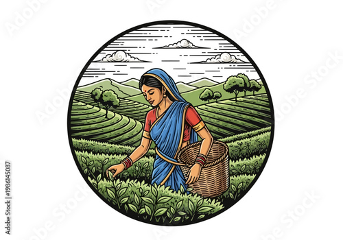 Indian Woman Tea Picker Harvesting Leaves in a Lush Green Plantation Illustration Emblem