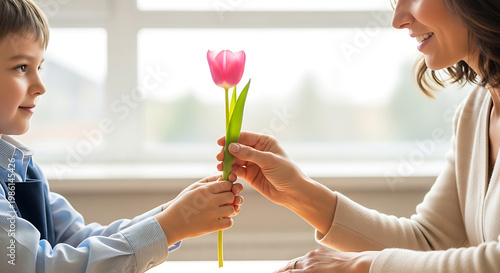 Close up of small boy hands giving beautiful pink tulip flower to his smiling mother near window, happy mothers day or spring holiday celebration, soft natural light heartwarming photography.