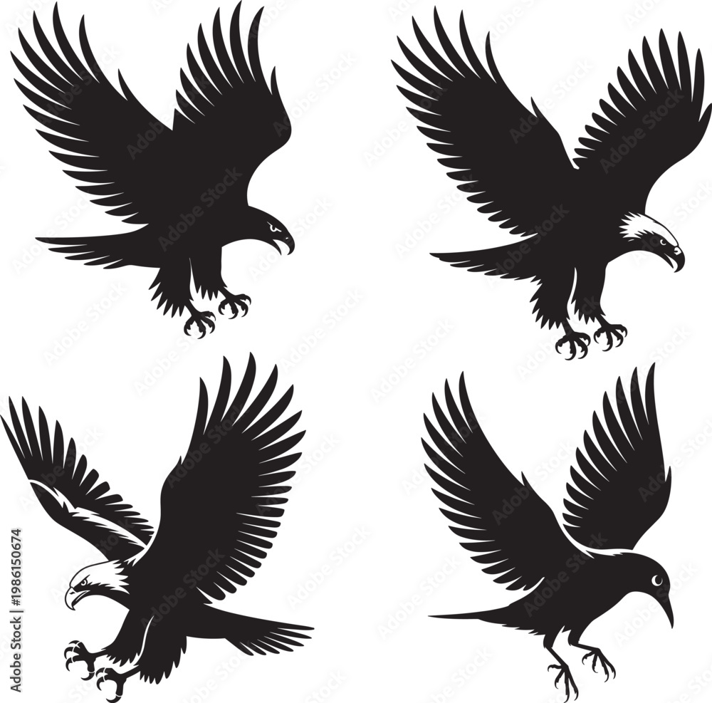 Fototapeta premium four black eagle silhouettes flying isolated on white background