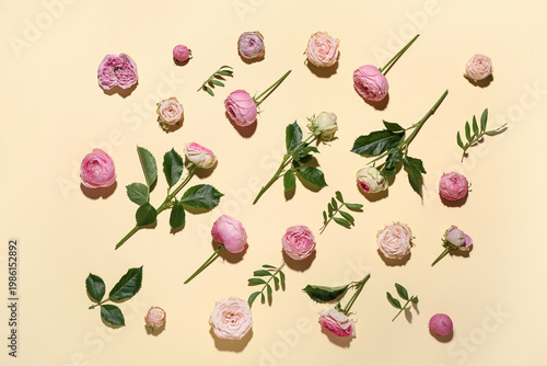Beautiful pink roses and le...