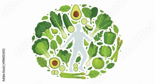 Avocado Fruits and Human Silhouette Illustration.