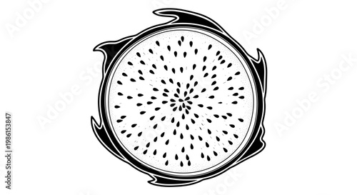 Detailed black and white illustration of a dragon fruit slice, showcasing its distinct shape and scattered tiny seeds.