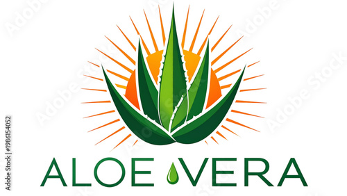 Aloe vera plant with vibrant yellow flowers and green spiky leaves Vector