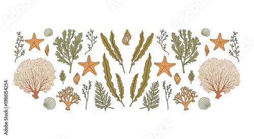 A symmetrical and meticulous arrangement of various green seaweeds, orange starfish, and delicate seashells creates a balanced marine composition on white.