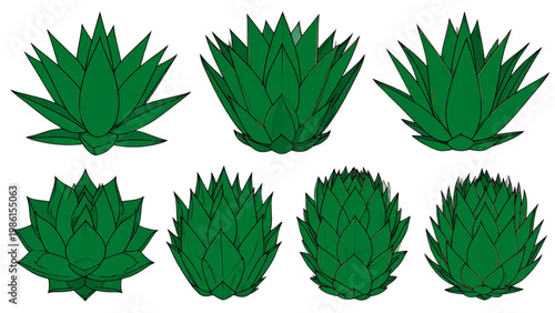 Group of stylized green pineapple plants with spiky leaves arranged in a row Vector