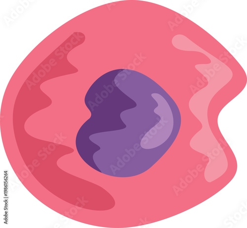 Biological cell showing nucleus and cytoplasm, representing cellular structure for microbiology