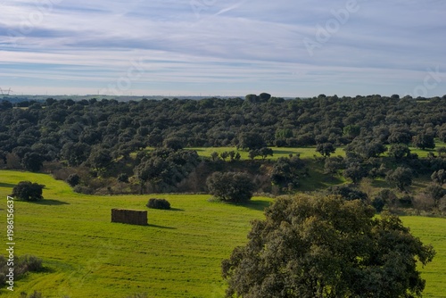 Green fields with trees and a small structure under a clear sky at midday in a rural area