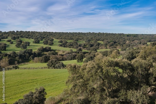 Green landscape with trees and open fields under blue sky in rural area during daytime