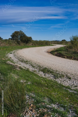 Curved dirt road surrounded by green grass and trees under a clear blue sky on a sunny day in rural landscape