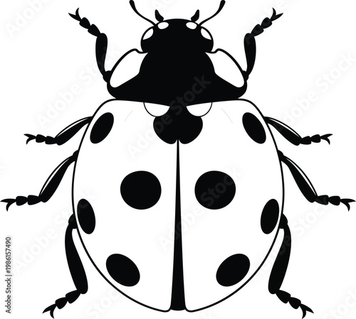 Black and white ladybug insect illustration isolated on transparent background