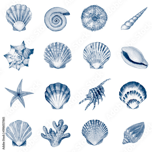 Blue watercolor seashell set, marine elements collection