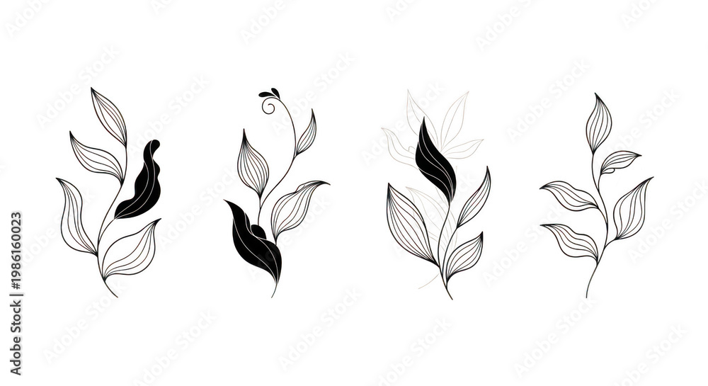 Fototapeta premium Botanical illustrations isolated on transparent background