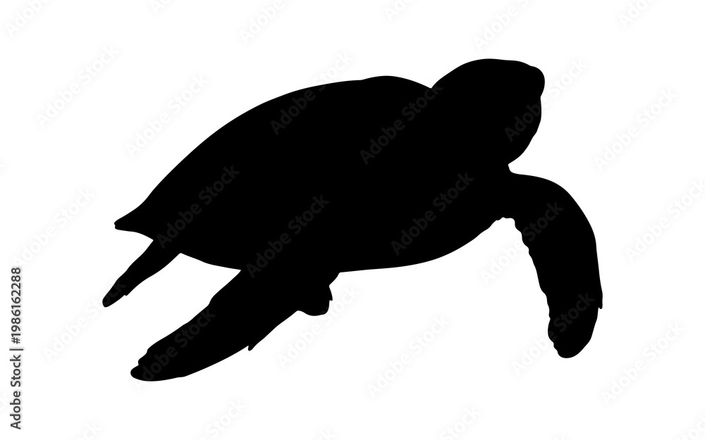 Fototapeta premium Silhouette of a wild marine sea turtle swimming underwater