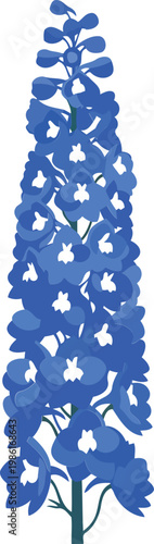 Blue delphinium flower with transparent background