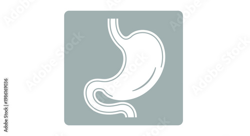 Simple Vector Icon of a Human Stomach in White on a Gray Square Background