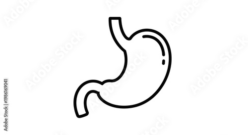 Simple Outline Icon of Human Stomach Organ, Medical and Health Concept