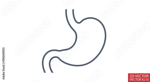 Simple Outline Icon of Human Stomach, Medical Healthcare Anatomy Symbol