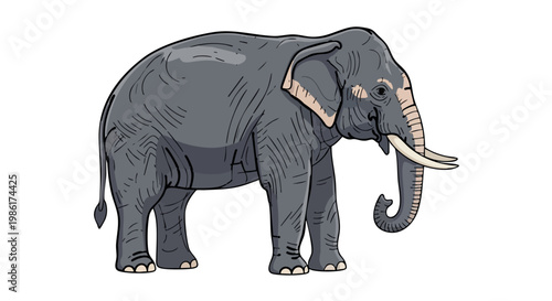 vector illustration of Asian elephant