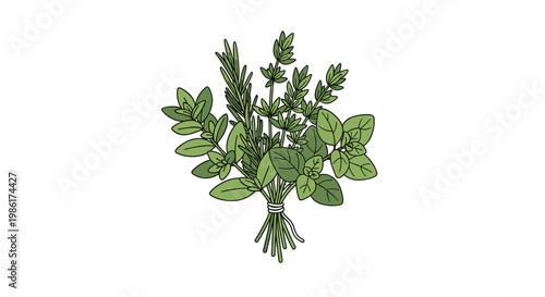 A vibrant and aromatic bundle of freshly harvested green herbs like rosemary and thyme is neatly tied with a thin white string against a pristine white background.