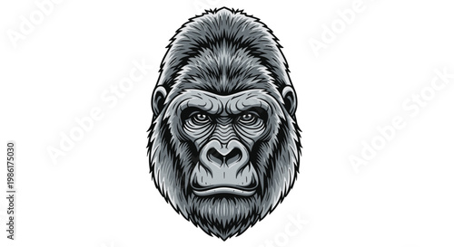 A powerful and detailed grey gorilla head illustration showing a stern facial expression and intricate fur textures against a minimalist white background setting.