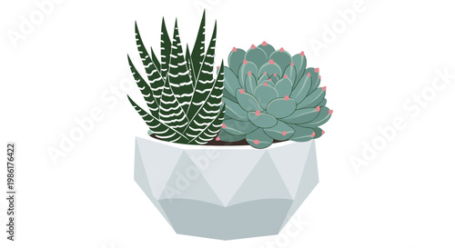 A sharp haworthia plant and a soft rosette succulent with delicate pink tips are nestled together inside a modern white faceted geometric ceramic planter.