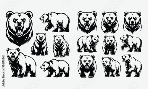 Vintage bear illustrations collection a diverse set of grizzly and brown bear portraits in black and white