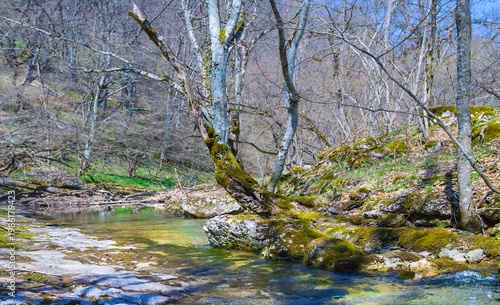 small river rushing over a stones in the mountain canyon