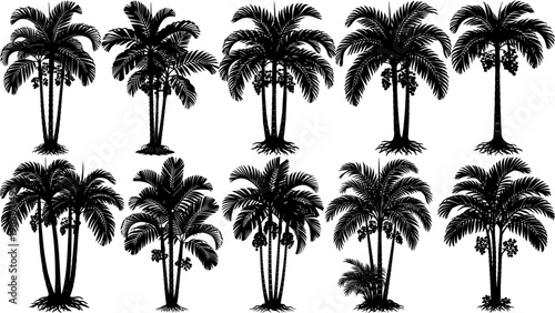 Vector set of areca palm tree silhouettes in solid black, featuring clean lines and natural forms, perfect for tropical designs, landscapes, and home artwork projects.
