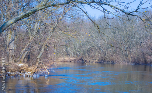 river flow through the forest, spring outdoor scene
