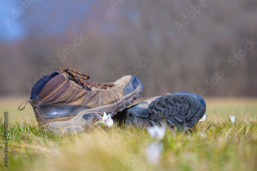 closeup pair of touristic boot stay on forest glade in grass