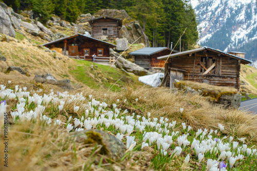 Frühjahr bei den Alm- und Berghütten im Zillertal Tirol Österreich