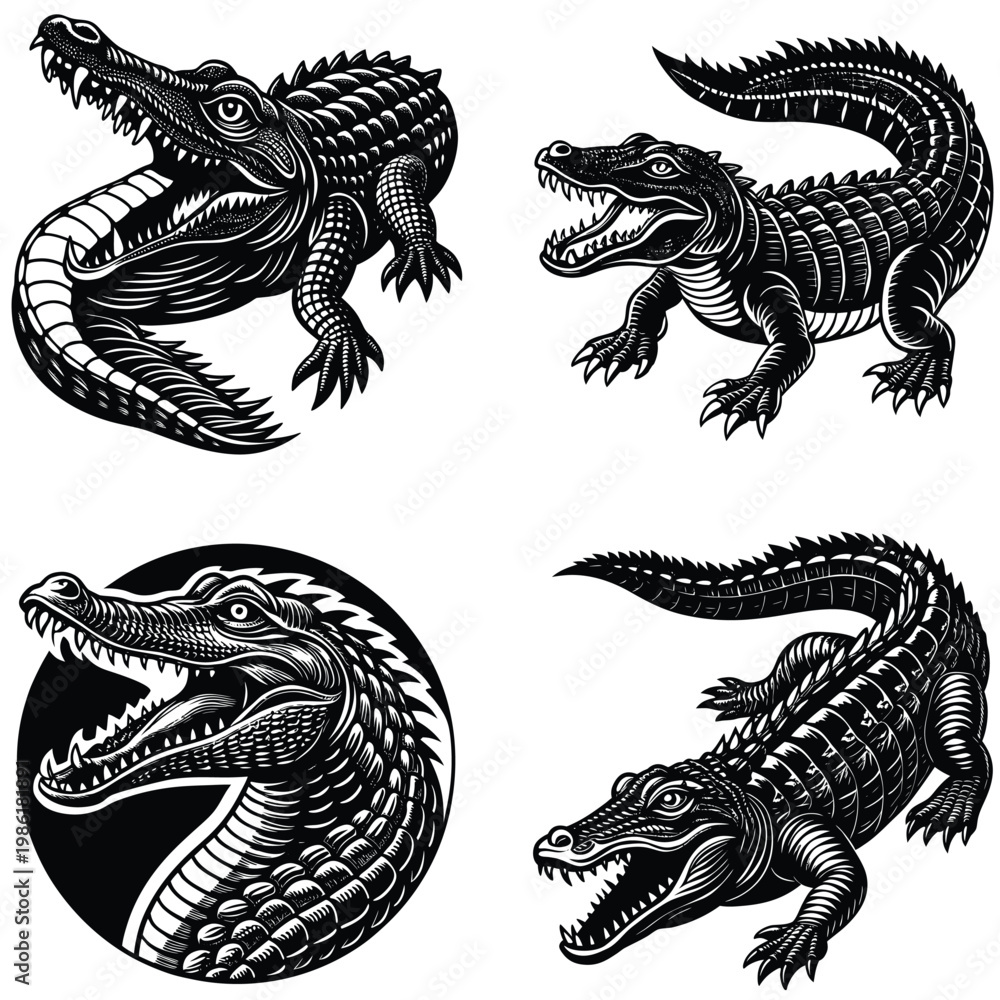 Ταπετσαρία Vector of crocodile design on white background