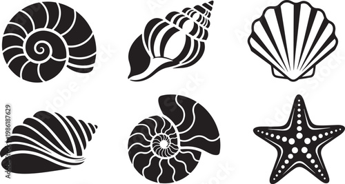 Set of Sea Shell and Starfish Silhouette Icons for Nautical and Marine Wildlife Design
