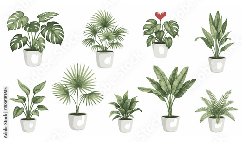 Vector watercolor tropical plants set in white pots with indoor greenery and botanical illustration