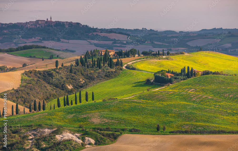 Fototapeta premium Tuscan countryside with San Quirico d'Orcia town on horizon, Italy.