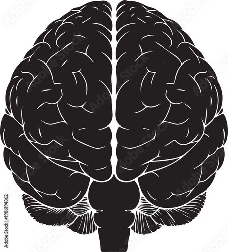 Human brain, black and white illustration, cerebral anatomy, vector graphic