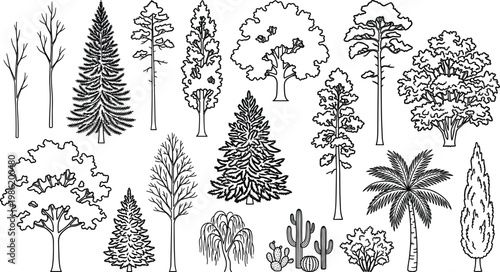 Diverse collection of trees and plants in a black and white illustration