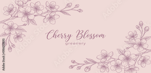 Graceful botanical illustration of blooming cherry blossom branches, depicting the serene beauty and ephemeral charm of spring in a delicate artistic style