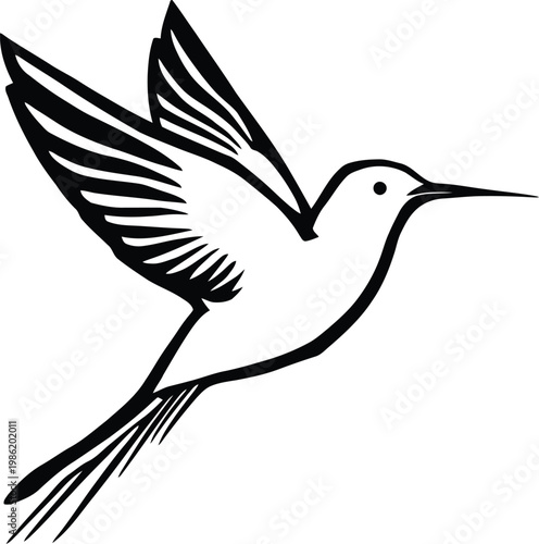 Black and white illustration of a hummingbird in flight, wings spread wide